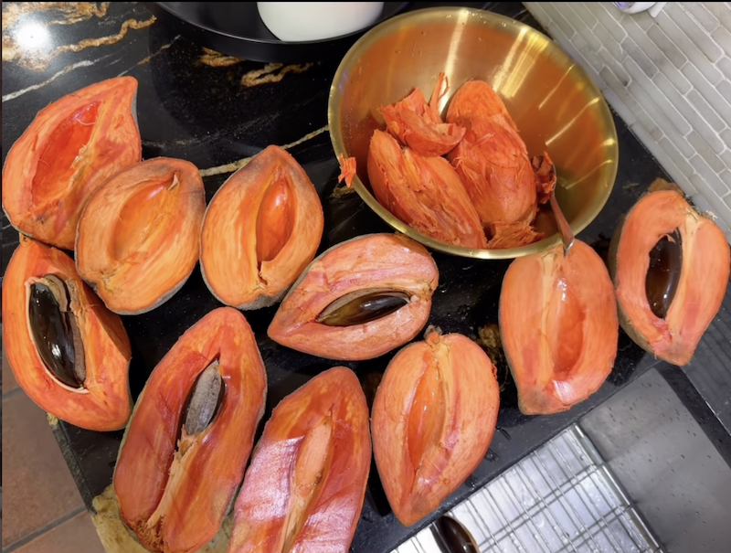 Mamey