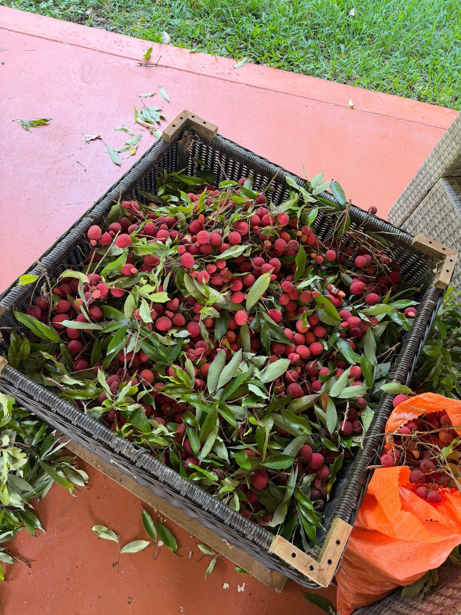 Lychees